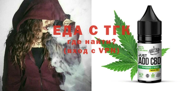 хмурый Арсеньев
