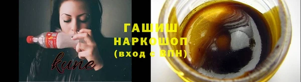 хмурый Арсеньев