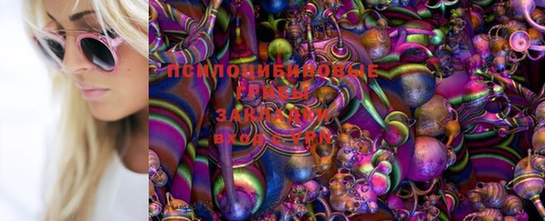 мет Мегион