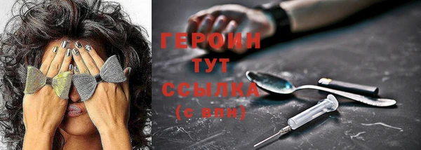 хмурый Арсеньев