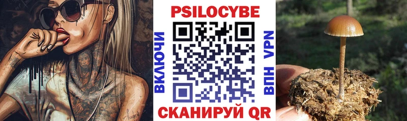 Галлюциногенные грибы Cubensis  Воткинск 