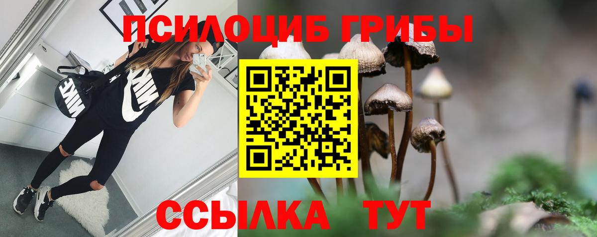 Воткинск  Галлюциногенные грибы Magic Shrooms  Псилоцибиновые грибы Magic Shrooms  Вход с VPN 